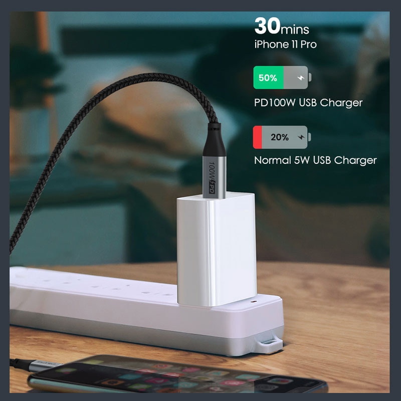 PD 100W