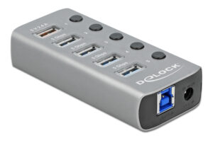 DELOCK USB hub με διακόπτες 63262