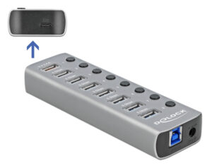 DELOCK USB hub με διακόπτες 63264