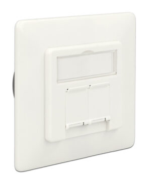 DELOCK Modular Wall Outlet Δικτύου